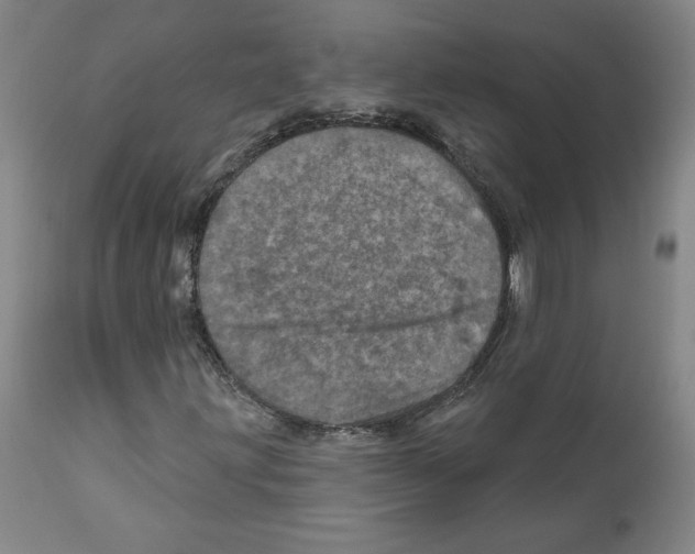 X0000112161203200909181439