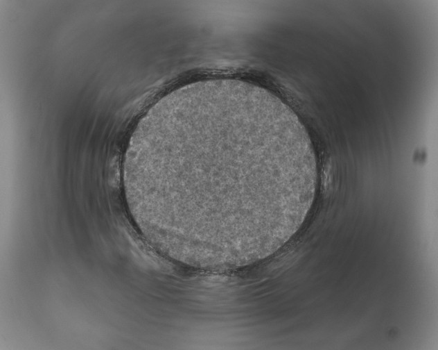 X0000112161204200909181439