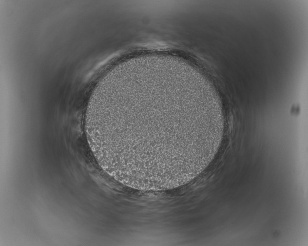 X0000112161205200909181439