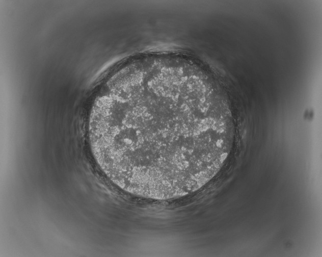 X0000112161206200909181439