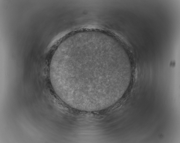 X0000112161207200909181439