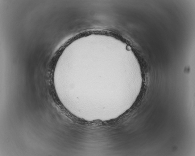 X0000112161208200909181439