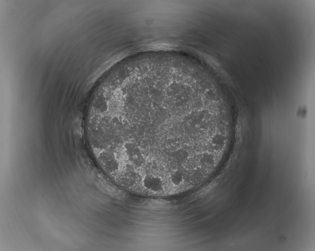 X0000112161209200909181439