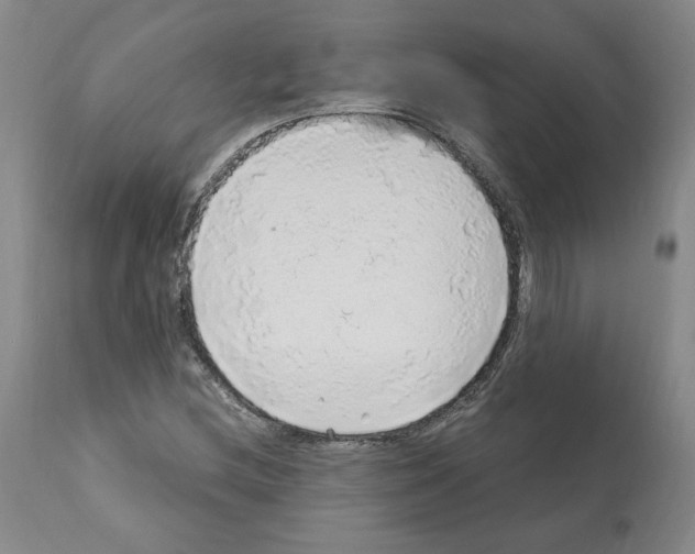X0000112161212200909181439