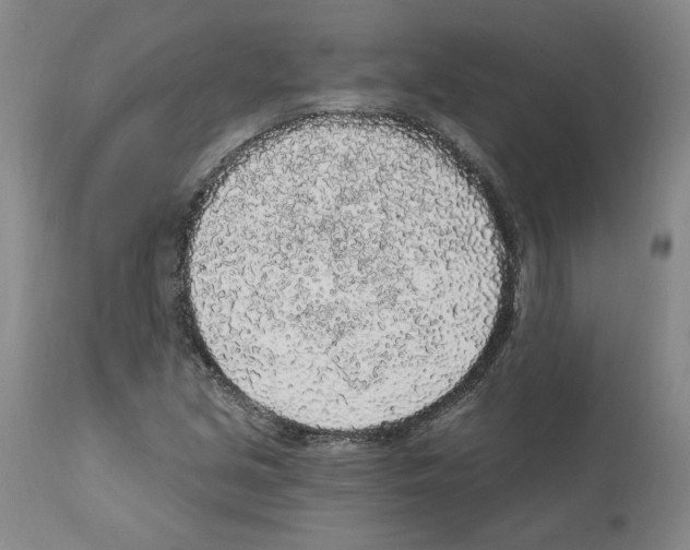 X0000112161213200909181439