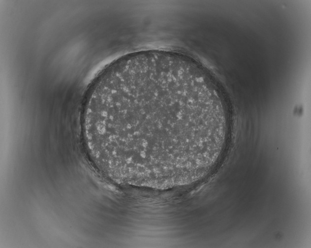 X0000112161214200909181439