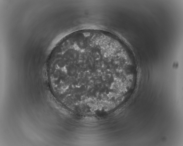 X0000112161215200909181439