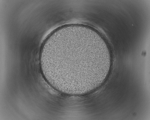 X0000112161216200909181439