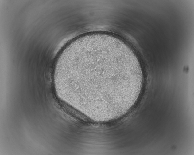 X0000112161218200909181439