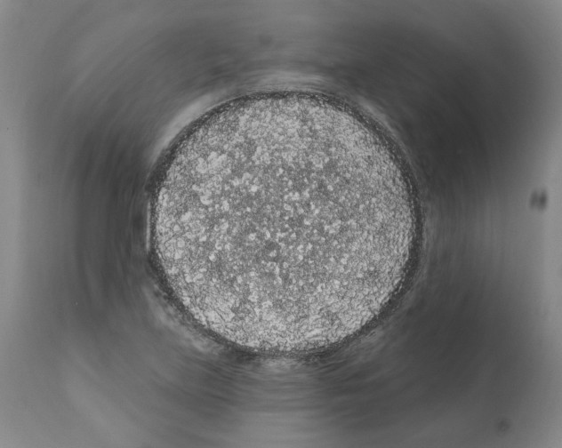 X0000112161219200909181439