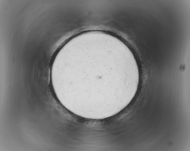 X0000112161221200909181439