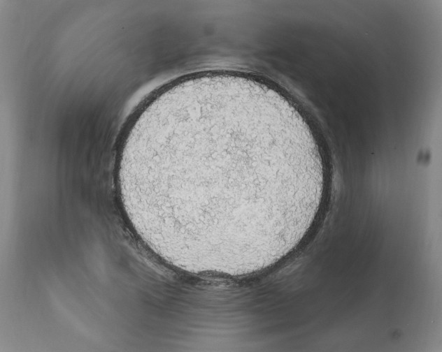 X0000112161222200909181439
