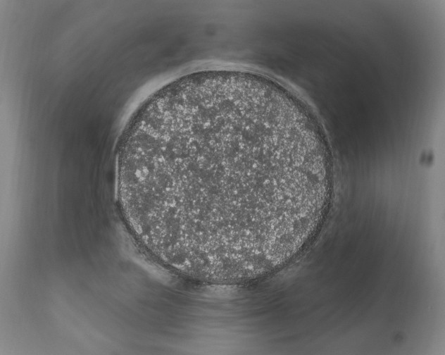X0000112161223200909181439