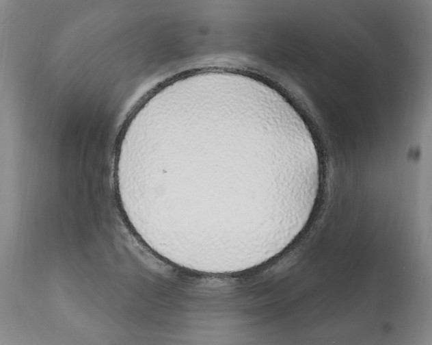 X0000112161224200909181439