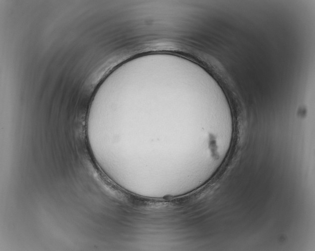 X0000112161225200909181439