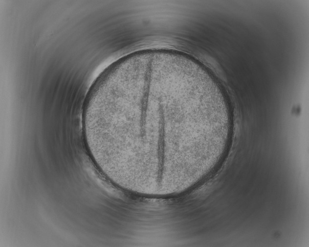 X0000112161226200909181439
