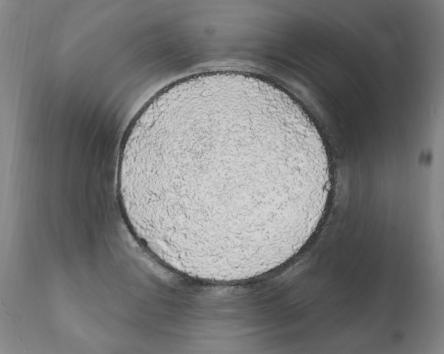 X0000112161228200909181439