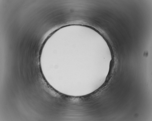 X0000112161230200909181439