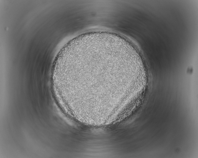 X0000112161231200909181439