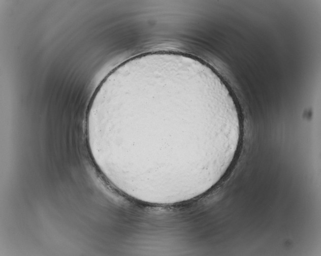 X0000112161234200909181440