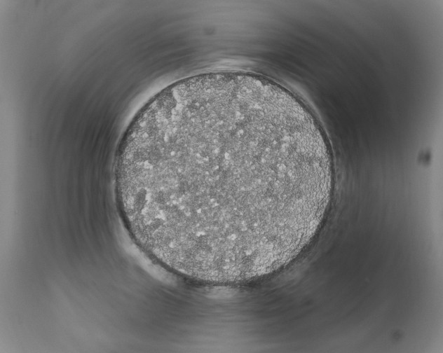 X0000112161235200909181440