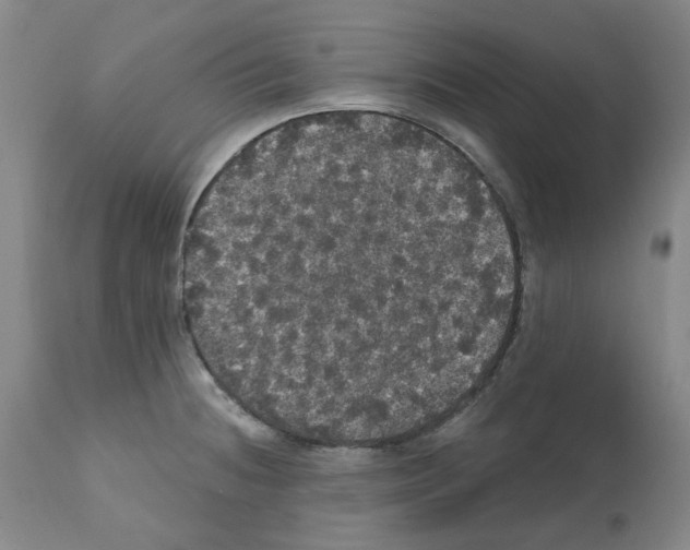 X0000112161236200909181440
