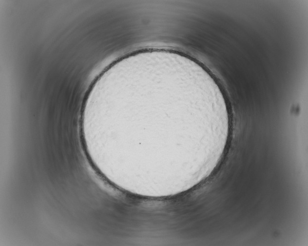 X0000112161237200909181440