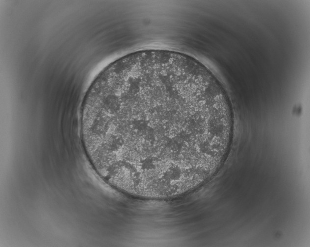 X0000112161238200909181440