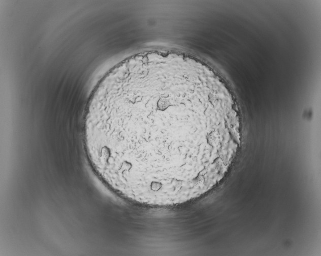 X0000112161239200909181440