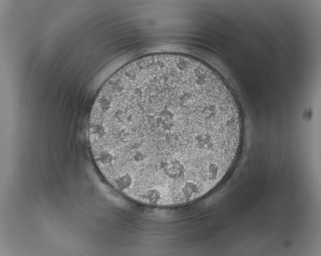 X0000112161241200909181440