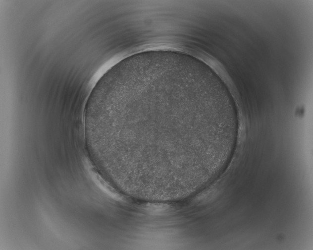 X0000112161242200909181440