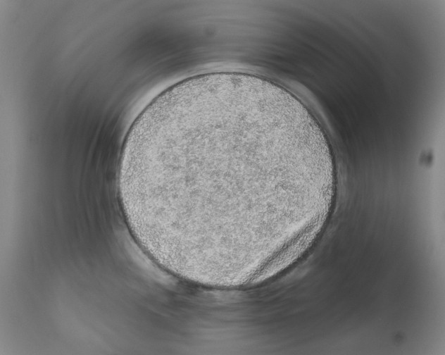 X0000112161244200909181440