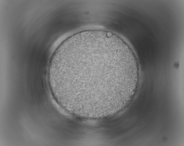 X0000112161245200909181440