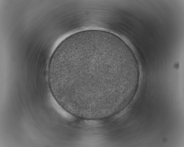 X0000112161246200909181440