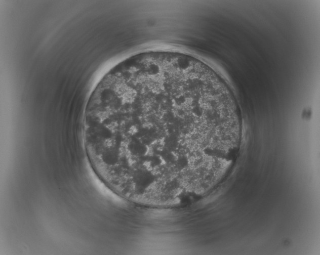 X0000112161247200909181440