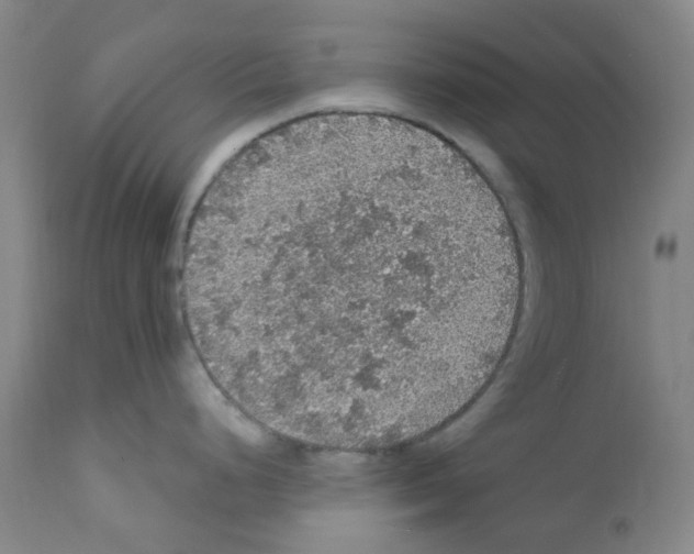 X0000112161248200909181440