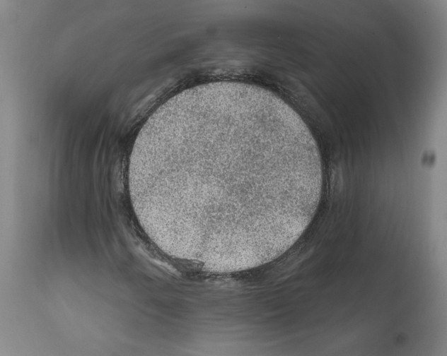 X0000112161250200909181439