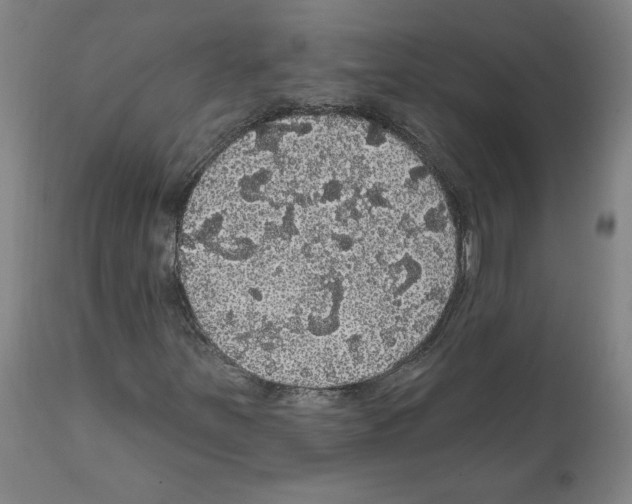 X0000112161251200909181439