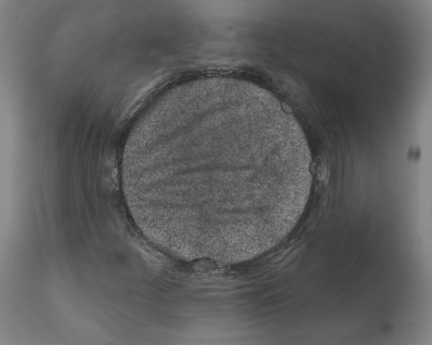 X0000112161252200909181439