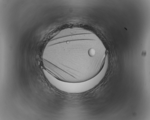 X0000112161253200909181439
