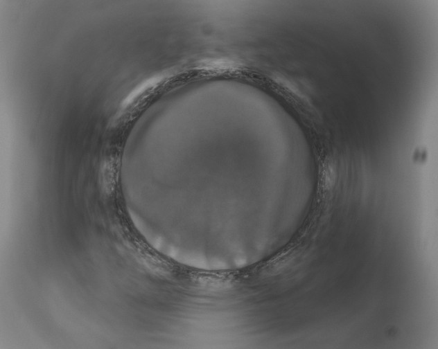 X0000112161254200909181439