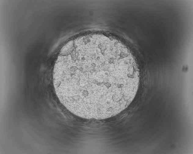 X0000112161255200909181439