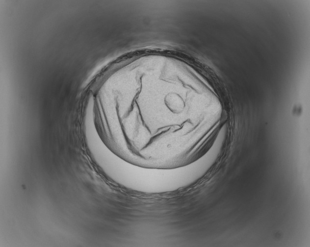 X0000112161256200909181439
