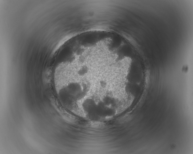 X0000112161258200909181439