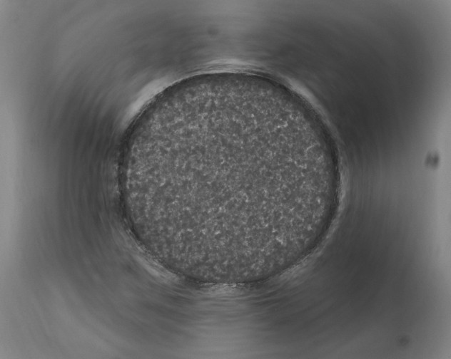 X0000112161259200909181439