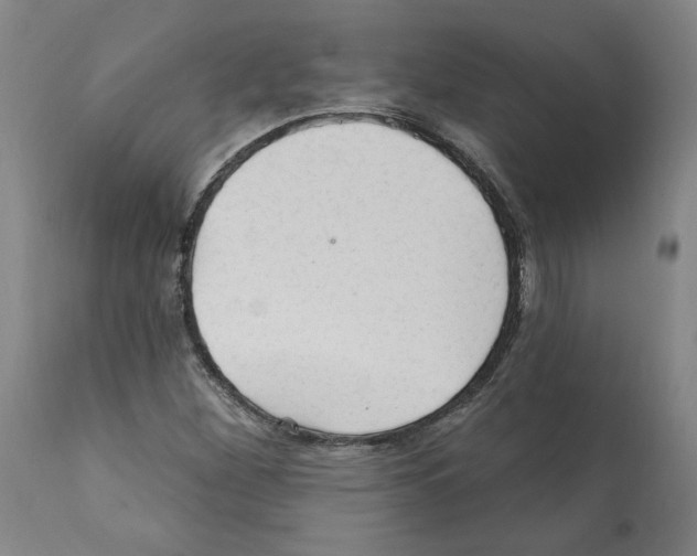 X0000112161260200909181439