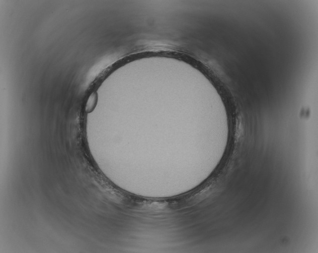 X0000112161261200909181439