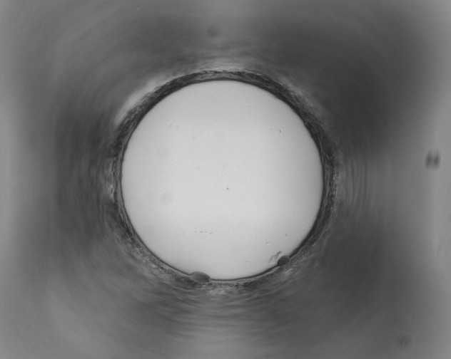 X0000112161262200909181439