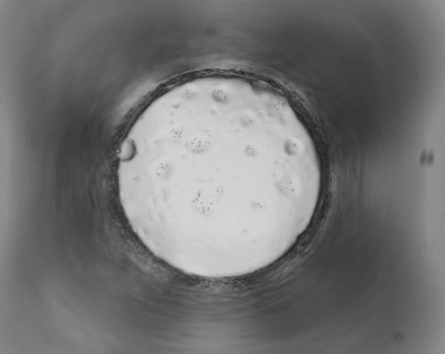 X0000112161263200909181439