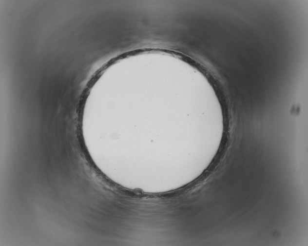 X0000112161264200909181439